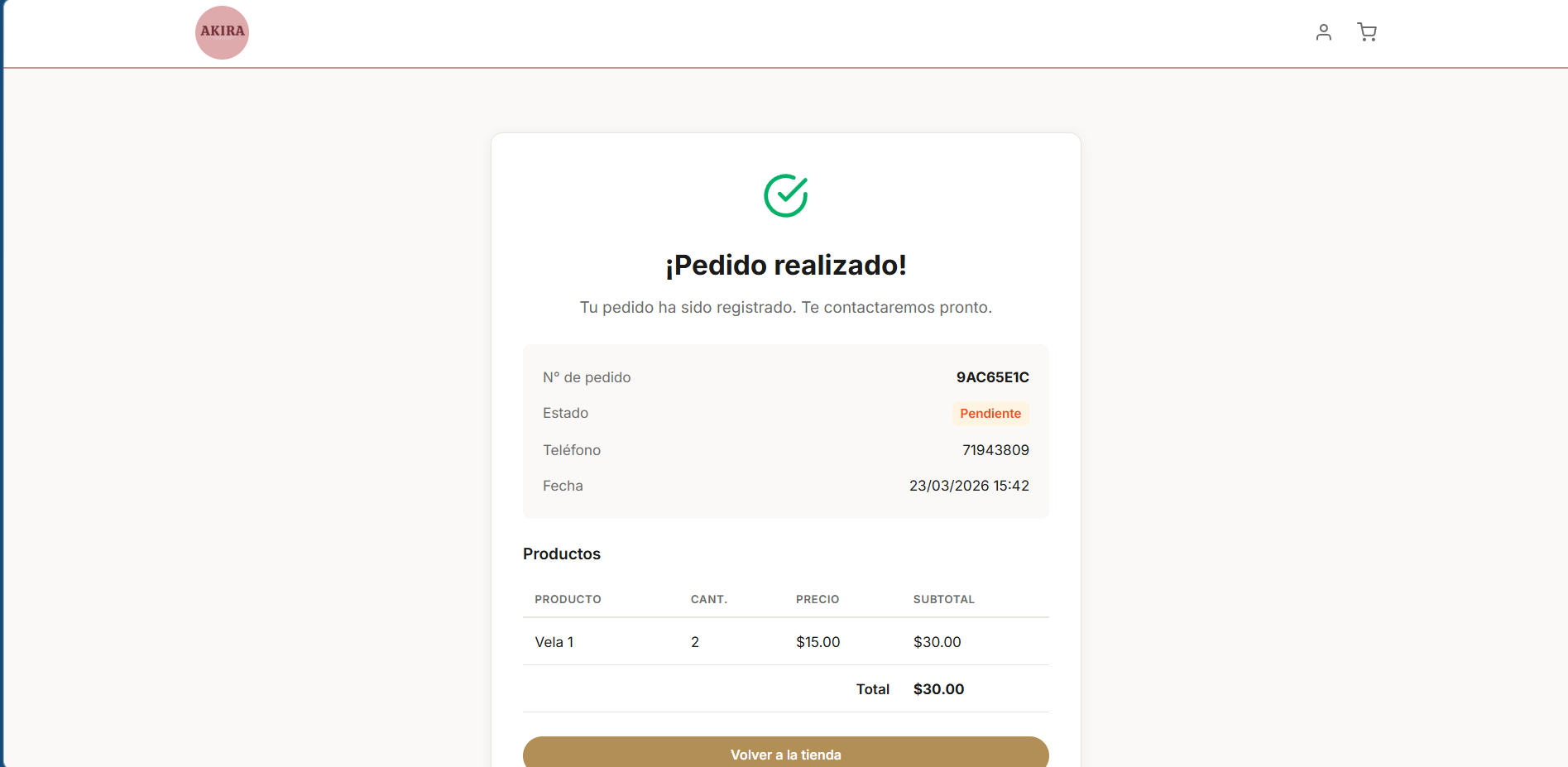 Sitio Web - Akira image 6