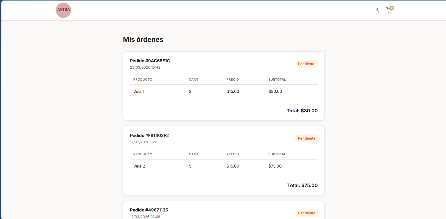 Sitio Web - Akira image 7
